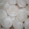 Shells, Oil on Canvas, 100cm x 100cm